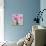 Bright Pink Peony-Pamela Gatens-Art Print displayed on a wall