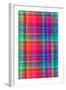 Bright Plaid-Louisa Hereford-Framed Giclee Print