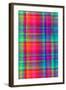 Bright Plaid-Louisa Hereford-Framed Giclee Print