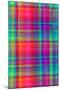 Bright Plaid-Louisa Hereford-Mounted Giclee Print