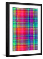 Bright Plaid-Louisa Hereford-Framed Giclee Print