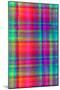 Bright Plaid-Louisa Hereford-Mounted Giclee Print