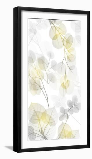 Bright Reach 2-Albert Koetsier-Framed Premium Photographic Print