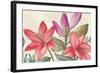 Bright Red Flora-Jacob Q-Framed Art Print