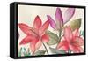 Bright Red Flora-Jacob Q-Framed Stretched Canvas