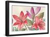 Bright Red Flora-Jacob Q-Framed Art Print