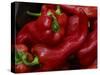 Bright Red Peppers at Farmers Market, Portland, Maine-Nance Trueworthy-Stretched Canvas