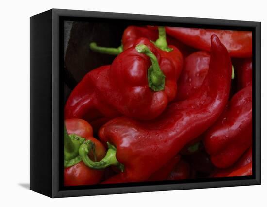Bright Red Peppers at Farmers Market, Portland, Maine-Nance Trueworthy-Framed Stretched Canvas