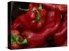 Bright Red Peppers at Farmers Market, Portland, Maine-Nance Trueworthy-Stretched Canvas