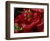 Bright Red Peppers at Farmers Market, Portland, Maine-Nance Trueworthy-Framed Photographic Print