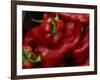 Bright Red Peppers at Farmers Market, Portland, Maine-Nance Trueworthy-Framed Photographic Print