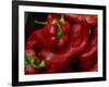 Bright Red Peppers at Farmers Market, Portland, Maine-Nance Trueworthy-Framed Photographic Print