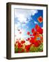 Bright Red Poppies-Ale-ks-Framed Photographic Print