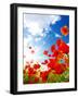 Bright Red Poppies-Ale-ks-Framed Photographic Print