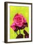 Bright Rose, 1980s-George Adamson-Framed Giclee Print