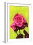 Bright Rose, 1980s-George Adamson-Framed Giclee Print