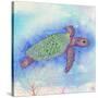 Bright Sea turtle-Kimberly Glover-Stretched Canvas