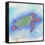 Bright Sea turtle-Kimberly Glover-Framed Stretched Canvas