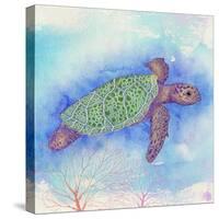 Bright Sea turtle-Kimberly Glover-Stretched Canvas