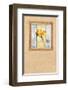 Bright Side-Joadoor-Framed Art Print