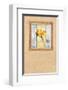 Bright Side-Joadoor-Framed Art Print