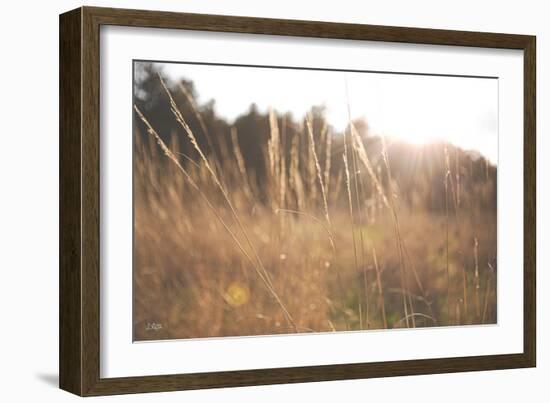 Bright Sun Haze II-Donnie Quillen-Framed Art Print