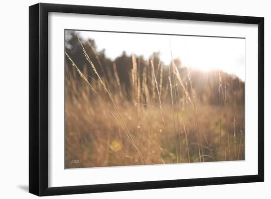 Bright Sun Haze II-Donnie Quillen-Framed Art Print