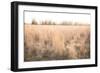 Bright Sun Haze III-Donnie Quillen-Framed Art Print