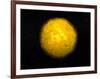 Bright Sun Shining in the Universe with Starry Background-null-Framed Art Print