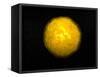 Bright Sun Shining in the Universe with Starry Background-null-Framed Stretched Canvas