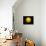 Bright Sun Shining in the Universe with Starry Background-null-Mounted Art Print displayed on a wall