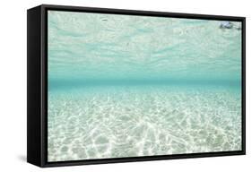 Bright Sunlight Dances across a Shallow Sand Seafloor in Palau-Stocktrek Images-Framed Stretched Canvas