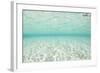 Bright Sunlight Dances across a Shallow Sand Seafloor in Palau-Stocktrek Images-Framed Photographic Print