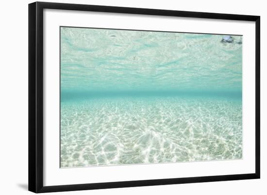 Bright Sunlight Dances across a Shallow Sand Seafloor in Palau-Stocktrek Images-Framed Photographic Print