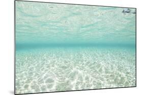 Bright Sunlight Dances across a Shallow Sand Seafloor in Palau-Stocktrek Images-Mounted Photographic Print