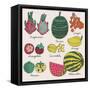 Bright Tropical Fruit Set in Vector. Dragon Fruit, Durian, Longan, Mangosteen, Carambola, Mango, An-smilewithjul-Framed Stretched Canvas