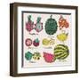 Bright Tropical Fruit Set in Vector. Dragon Fruit, Durian, Longan, Mangosteen, Carambola, Mango, An-smilewithjul-Framed Art Print