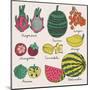 Bright Tropical Fruit Set in Vector. Dragon Fruit, Durian, Longan, Mangosteen, Carambola, Mango, An-smilewithjul-Mounted Art Print