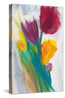 Bright Tulip Bunch II-Karen Lorena Parker-Stretched Canvas