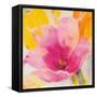 Bright Tulips IV-Albena Hristova-Framed Stretched Canvas