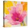 Bright Tulips IV-Albena Hristova-Stretched Canvas