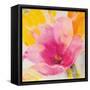 Bright Tulips IV-Albena Hristova-Framed Stretched Canvas