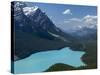 Bright Turquoise Colored Peyto Lake from the Bow Summit in Banff National Park, Canada.-Howard Newcomb-Stretched Canvas