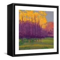 Bright View No. 3-Mike Kelly-Framed Stretched Canvas