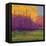 Bright View No. 3-Mike Kelly-Framed Stretched Canvas