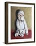 Bright White Monkey, 2006,-Peter Jones-Framed Giclee Print