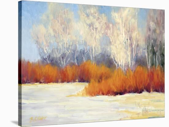 Bright Winter Day-Bunny Oliver-Stretched Canvas