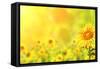 Bright Yellow Sunflowers and Sun-frenta-Framed Stretched Canvas