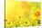 Bright Yellow Sunflowers and Sun-frenta-Stretched Canvas