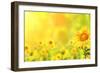 Bright Yellow Sunflowers and Sun-frenta-Framed Premium Photographic Print